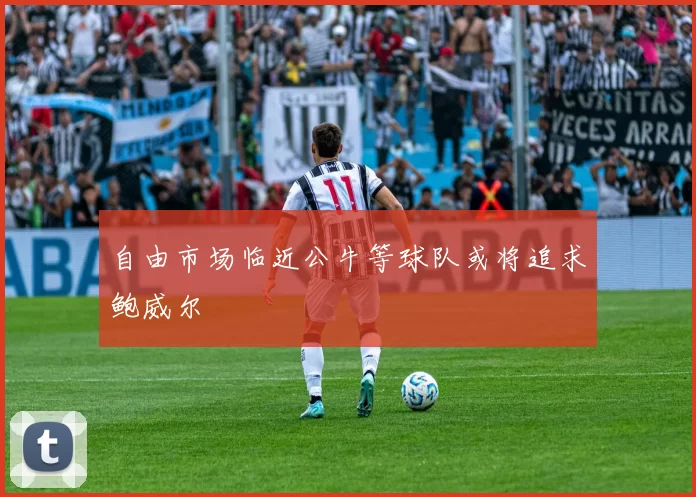 自由市场临近公牛等球队或将追求鲍威尔