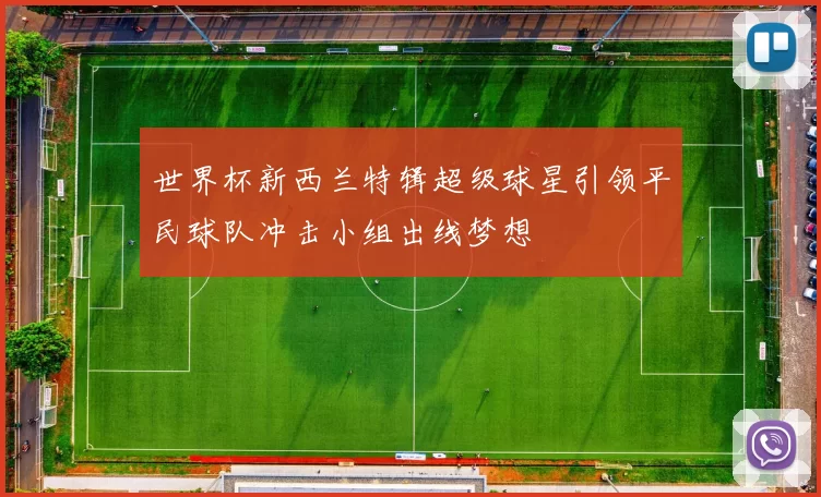 世界杯新西兰特辑超级球星引领平民球队冲击小组出线梦想